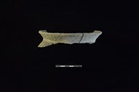 藏品(陶罐)的圖片